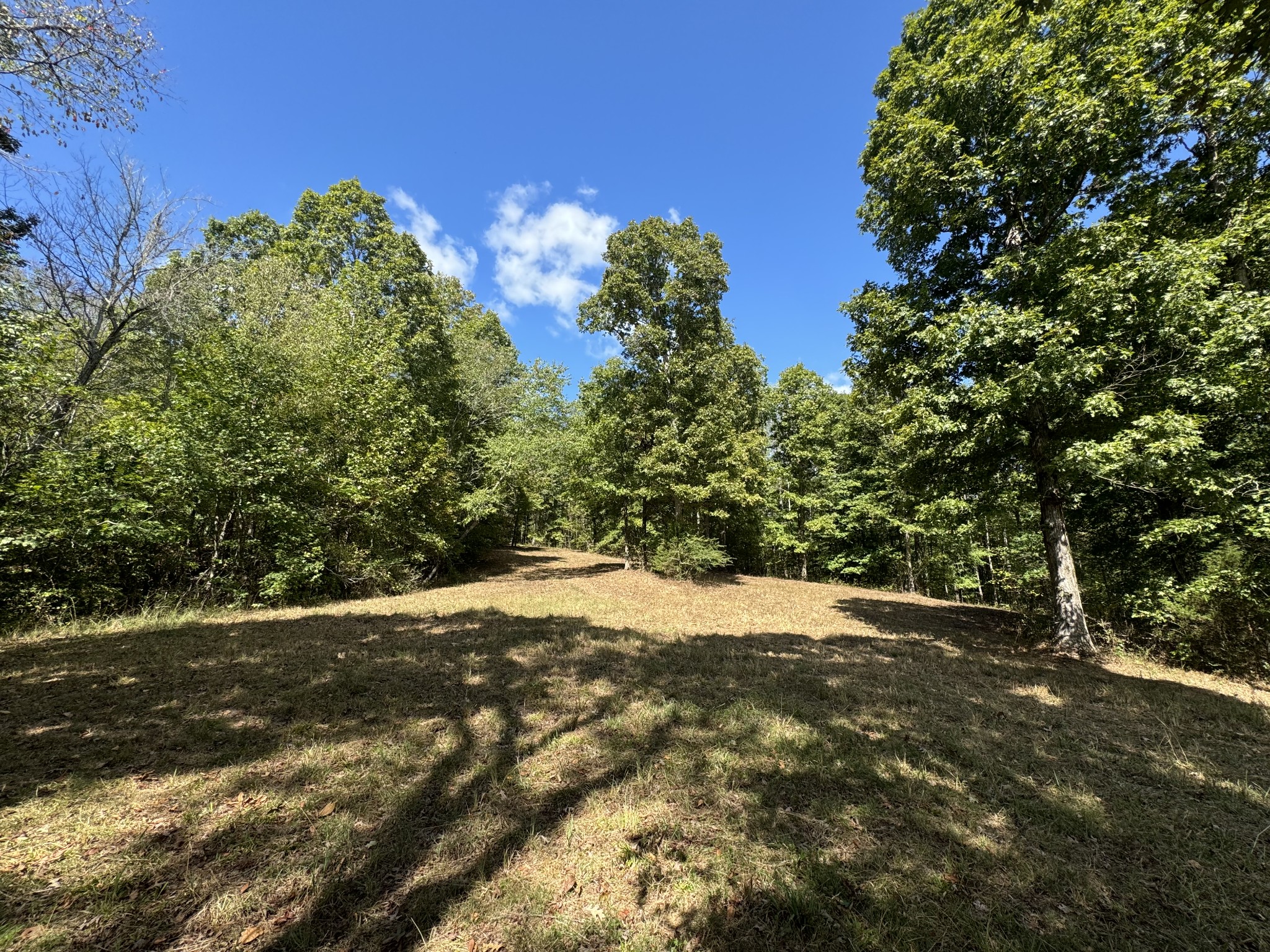 0 Highway 50 W Loop Centerville, TN 37033 - Photo 45 of 48