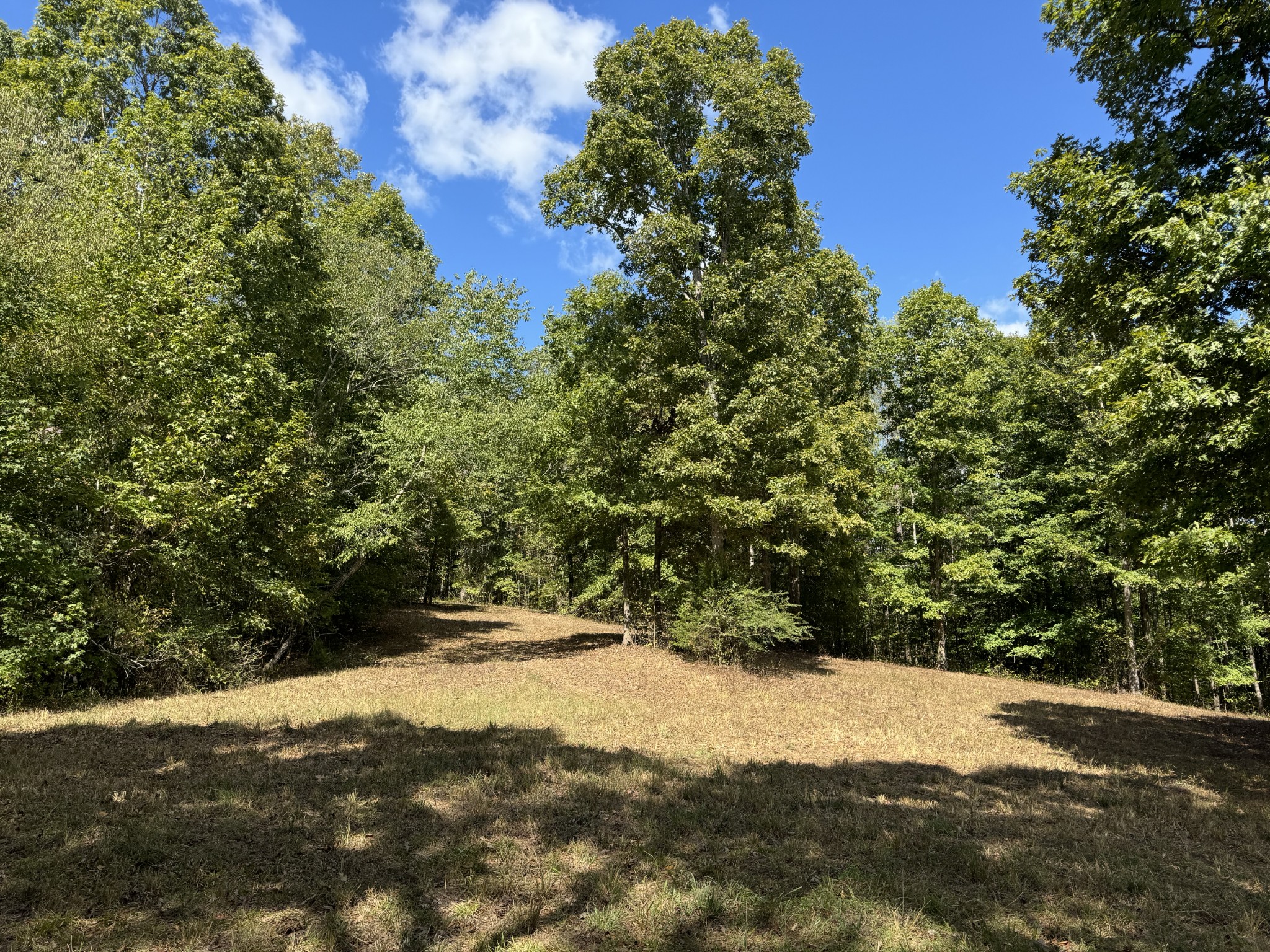 0 Highway 50 W Loop Centerville, TN 37033 - Photo 46 of 48