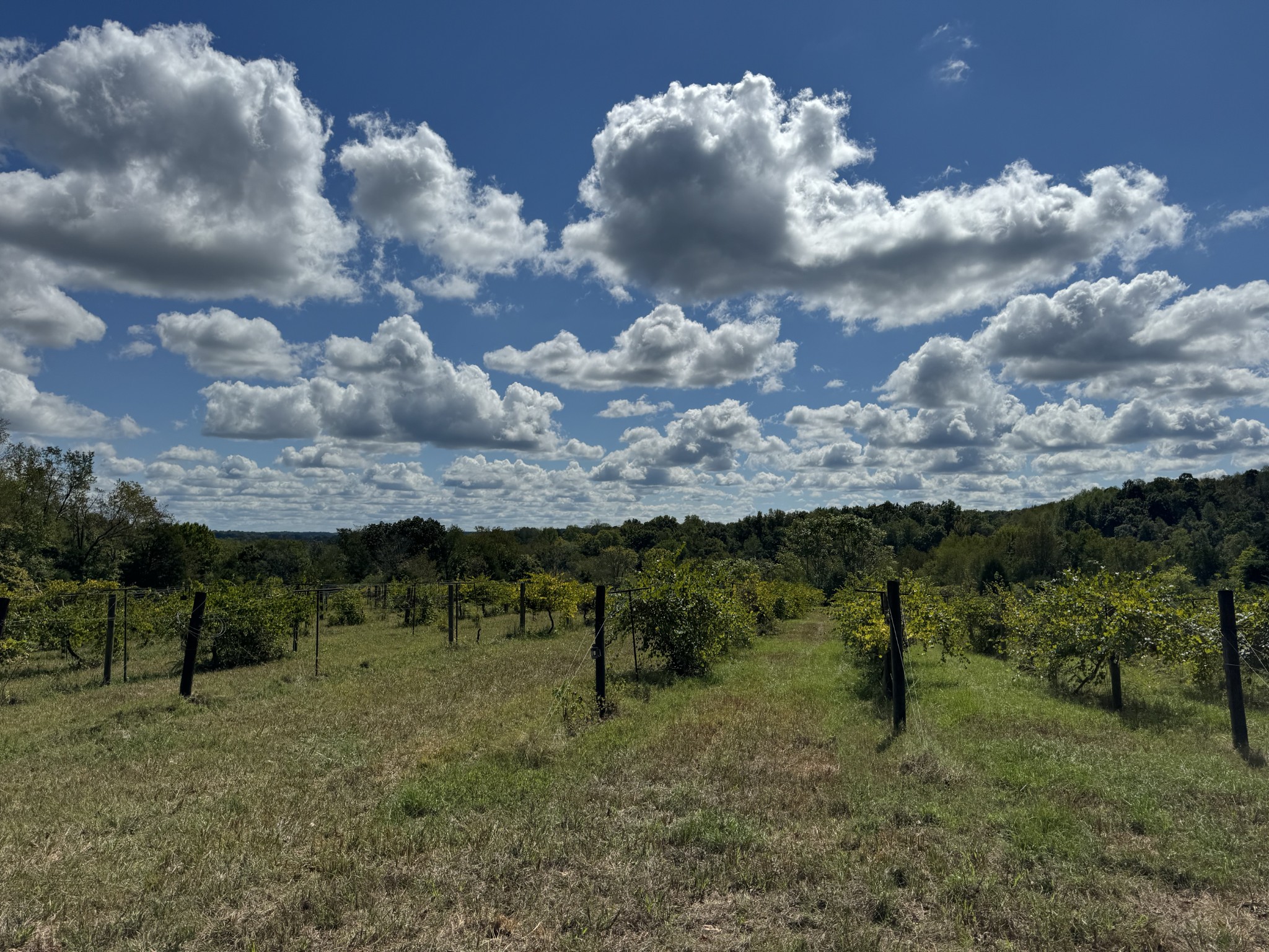 0 Highway 50 W Loop Centerville, TN 37033 - Photo 47 of 48