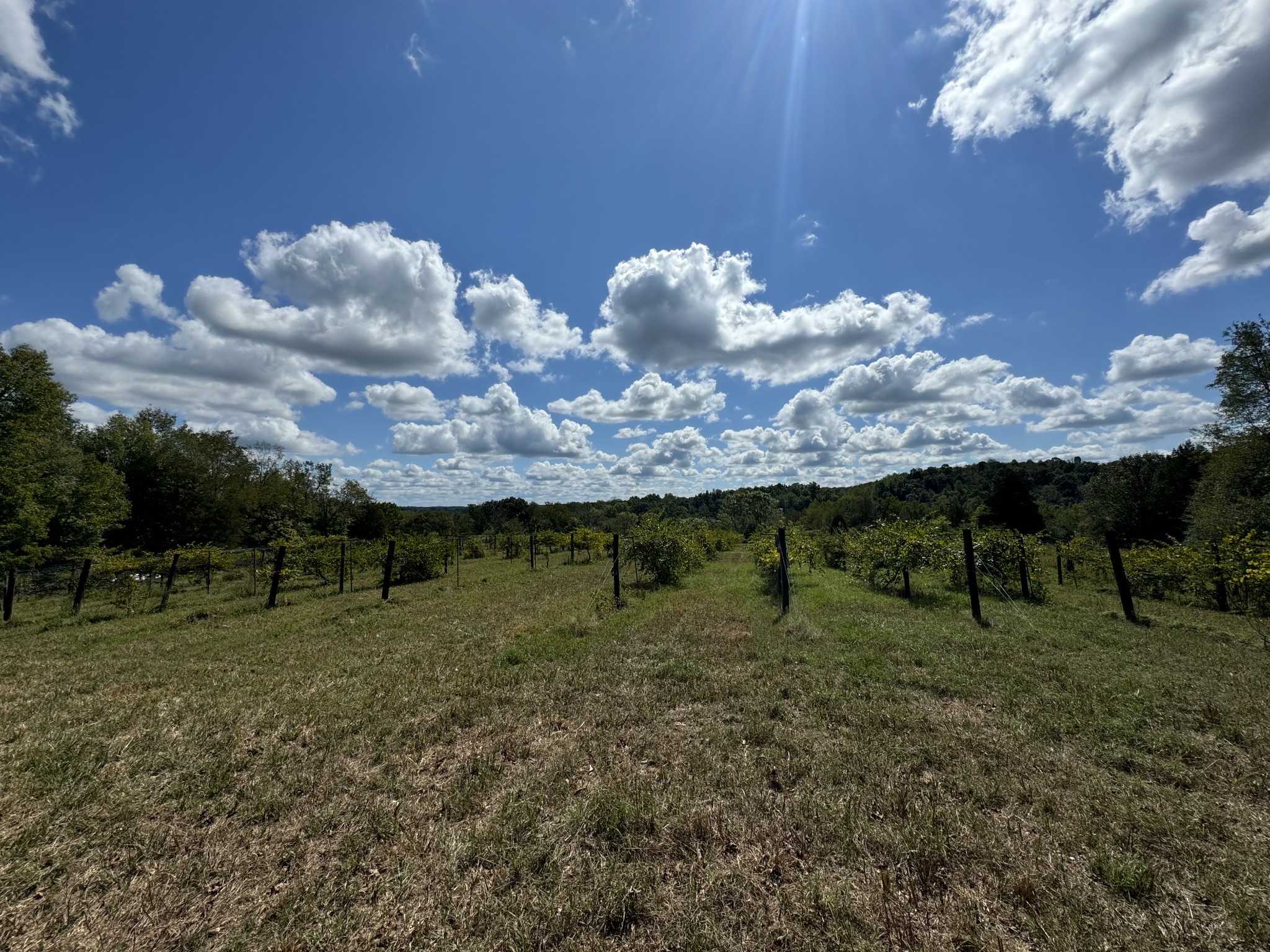 0 Highway 50 W Loop Centerville, TN 37033 - Photo 48 of 48