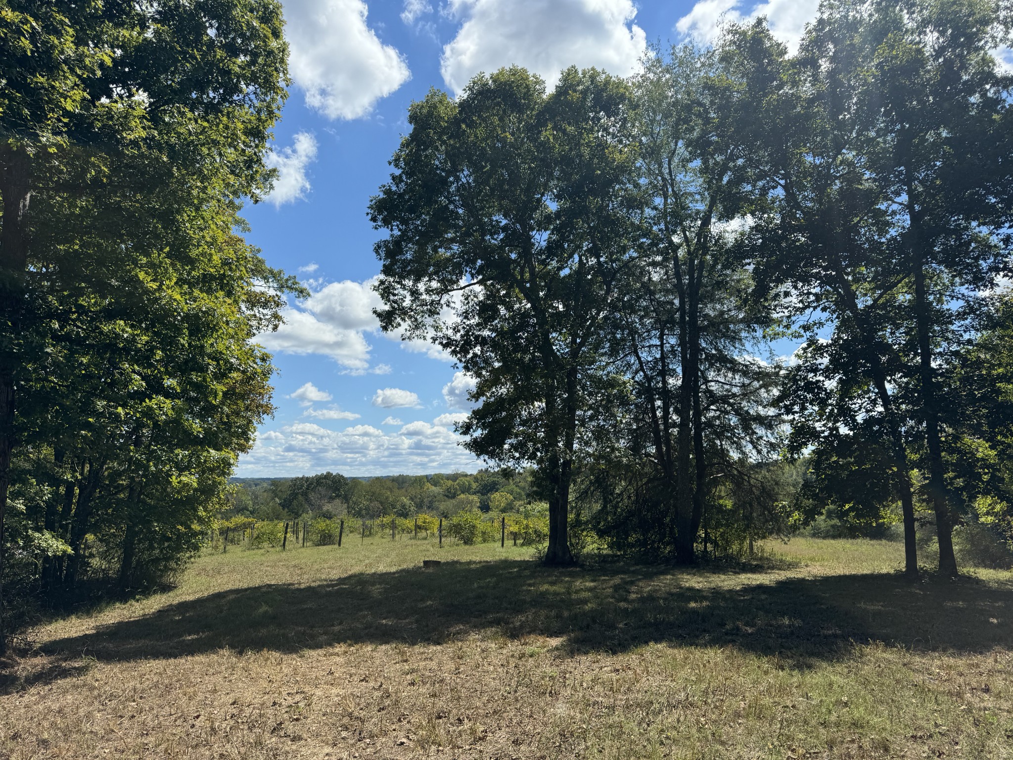 0 Highway 50 W Loop Centerville, TN 37033 - Photo 6 of 48