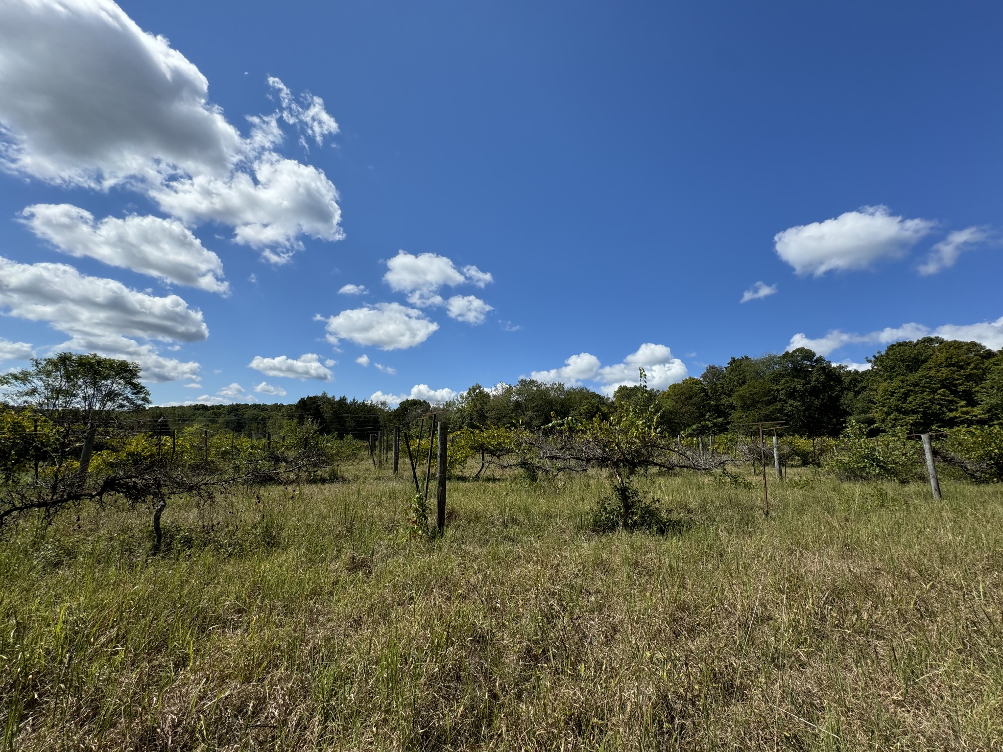 0 Highway 50 W Loop Centerville, TN 37033 - Photo 8 of 48