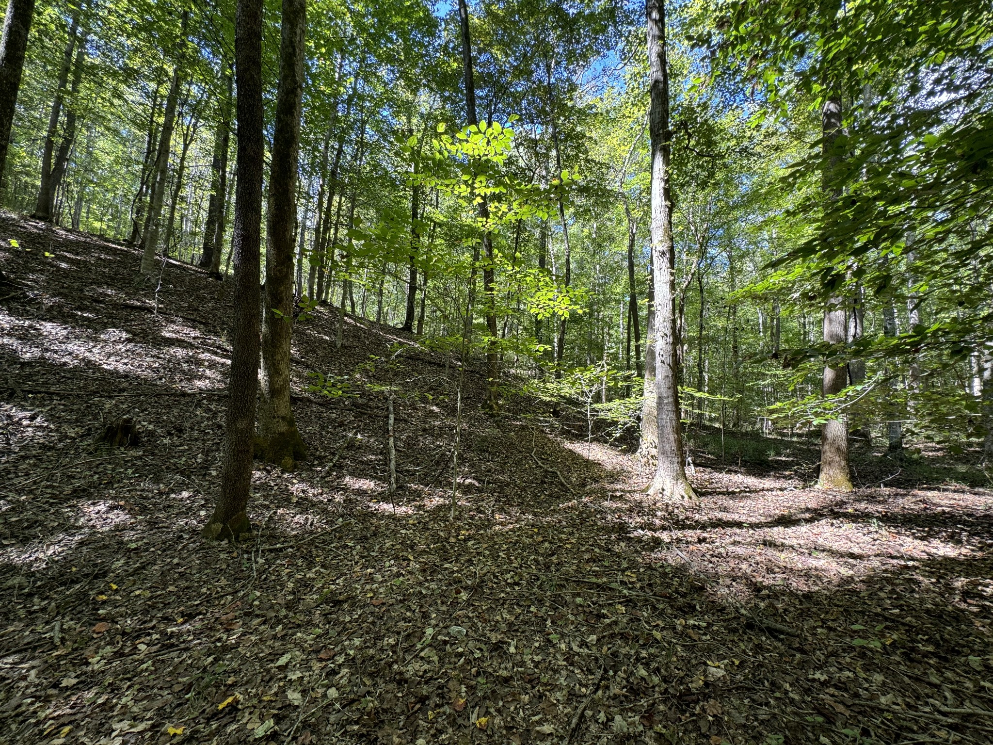 0 Highway 50 W Loop Centerville, TN 37033 - Photo 9 of 48