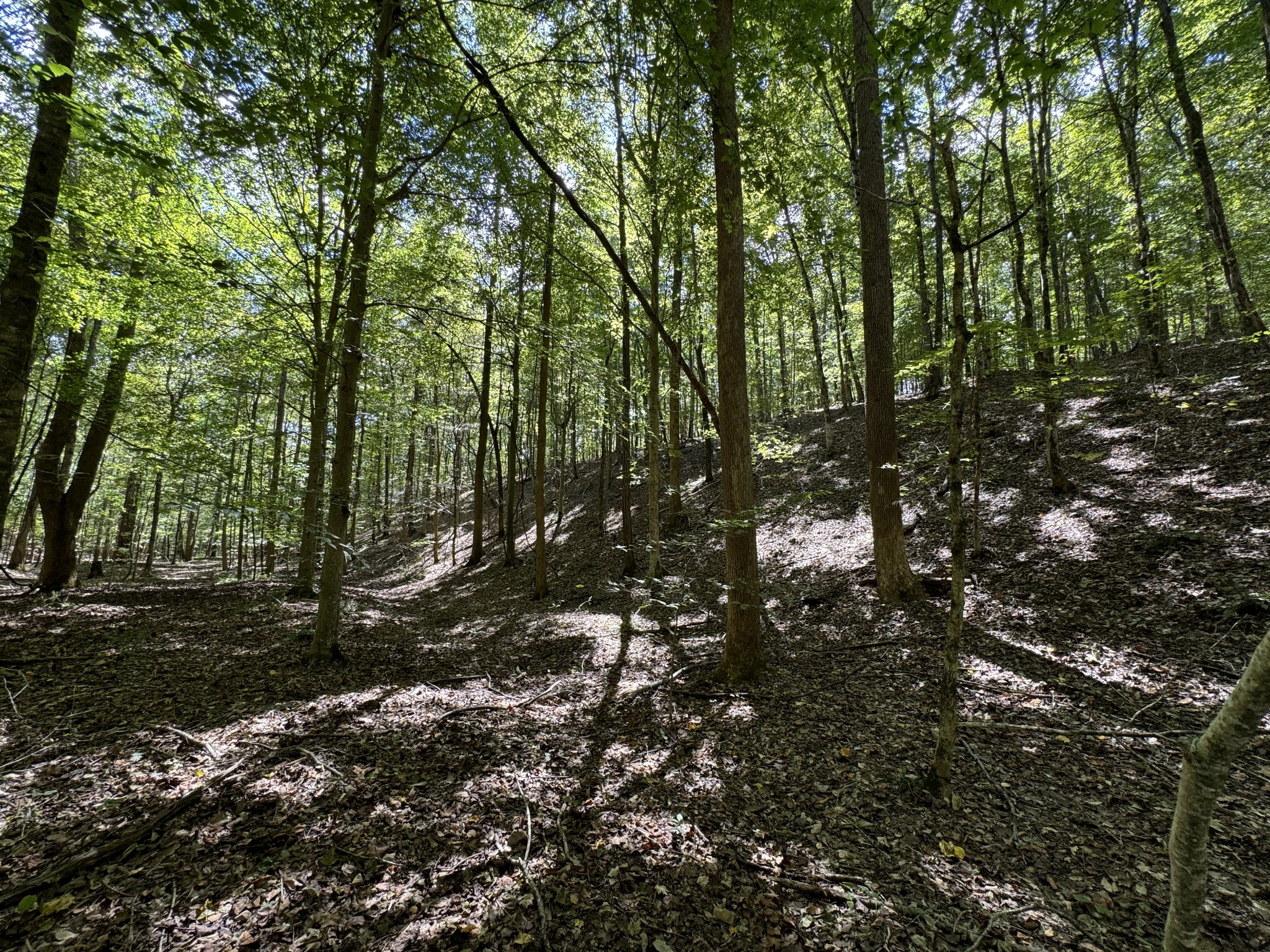 0 Highway 50 W Loop Centerville, TN 37033 - Photo 10 of 48