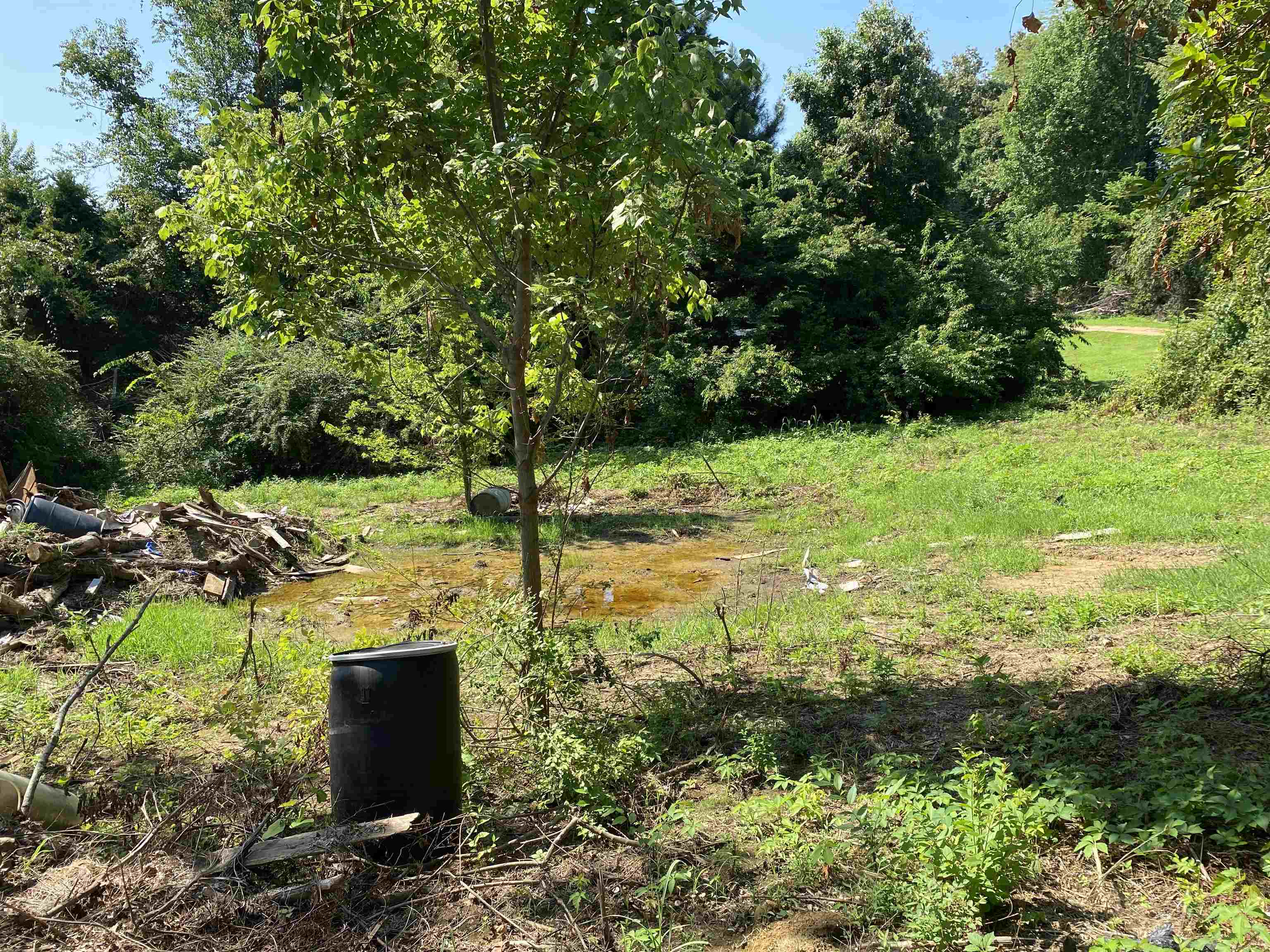 2383 Robert Johnson Road Covington, TN 38019 - Photo 3 of 5 View of yard
