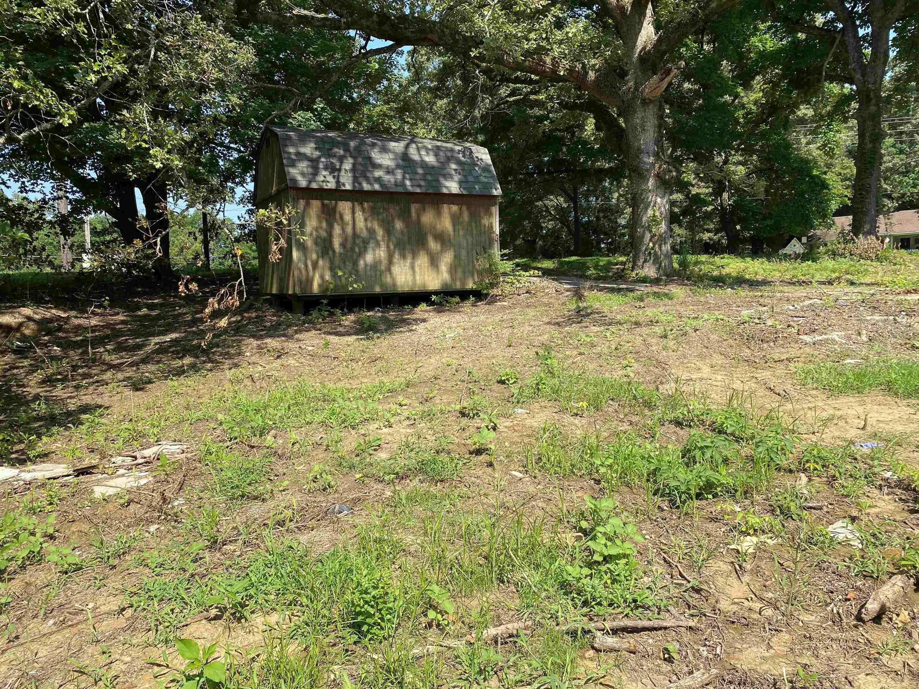 2383 Robert Johnson Road Covington, TN 38019 - Photo 4 of 5 View of yard with a storage shed