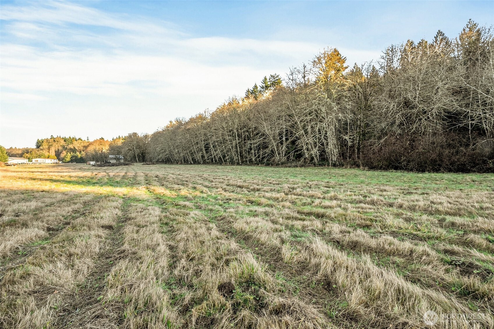 0 Collins Road Toledo, WA 98591 - Photo 17 of 25