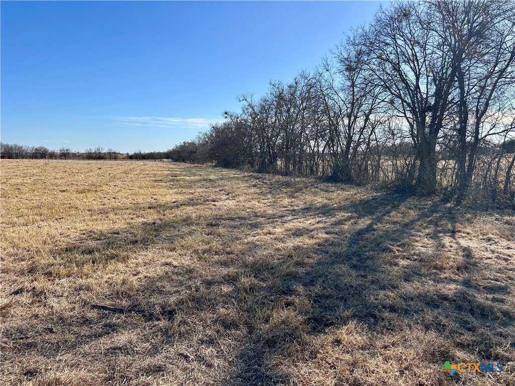 8571 Pecan Road Troy, TX 76579 - Photo 6 of 9 a view of a yard with a lake view