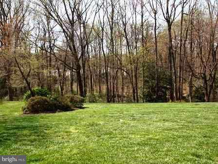 11657 Stoneview Square, Unit 2B Reston, VA 20191 - Photo 13 of 13 View
