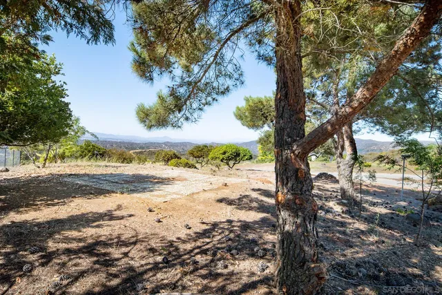 a view of dirt yard with a tree