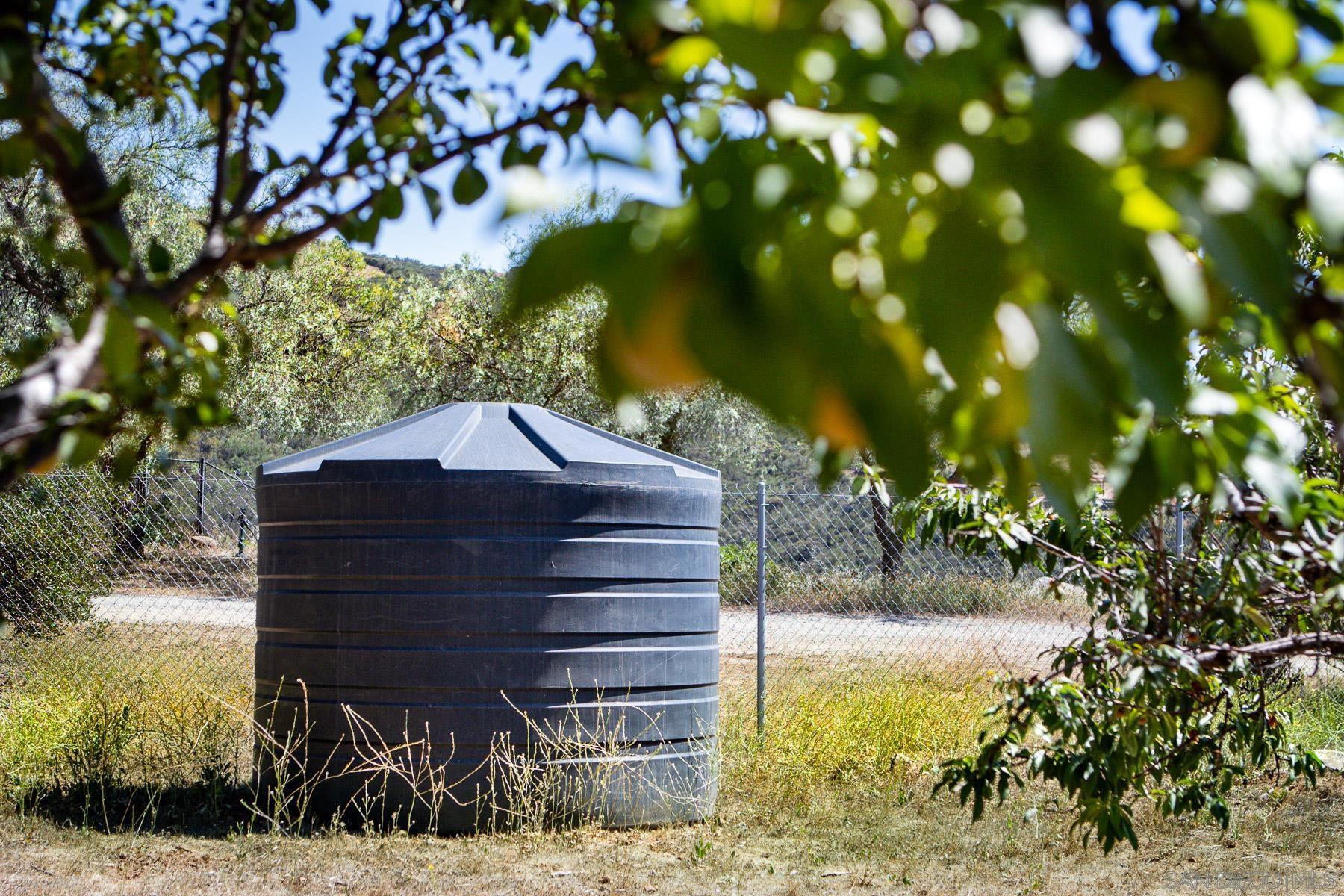 38960 Magee Road Pala, CA 92059 - Photo 19 of 25 a view of house with a yard