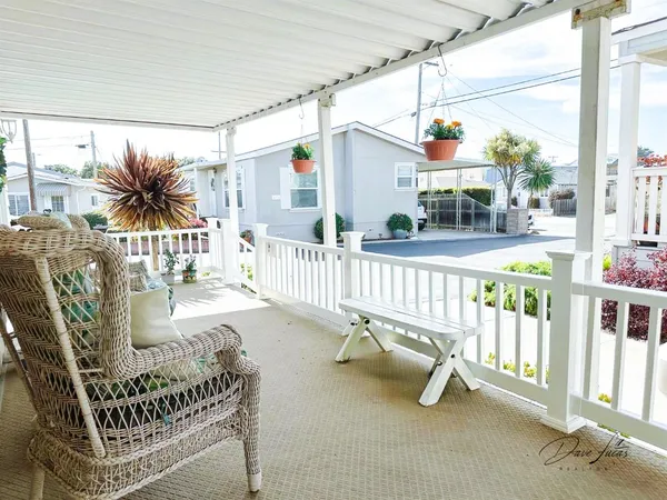 a view of a living room and a potted plant