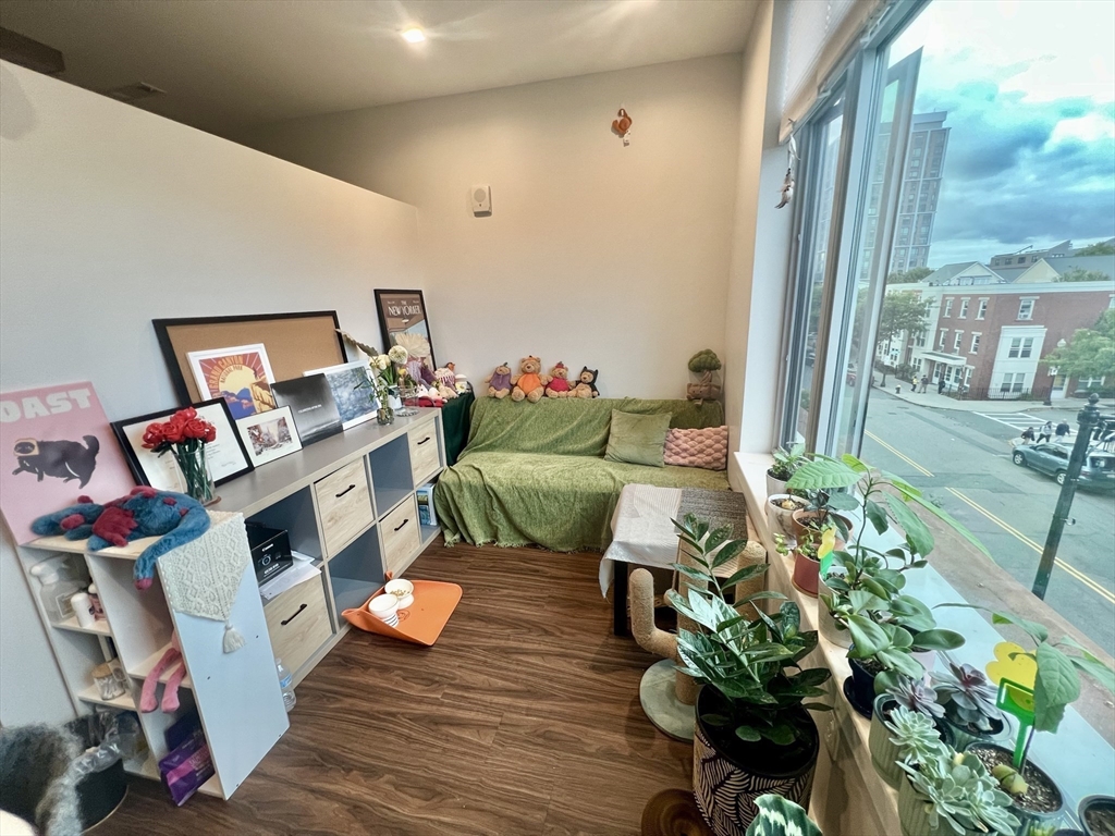 99 Sumner Street, Unit 307 Boston, MA 02128 - Photo 17 of 18 a living room with furniture and a potted plant