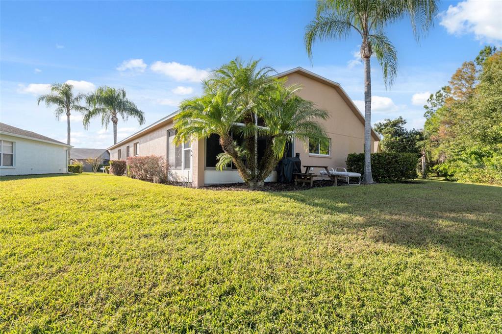 1201 Dustan Place Trinity, FL 34655 - Photo 38 of 78 a view of a house with a yard