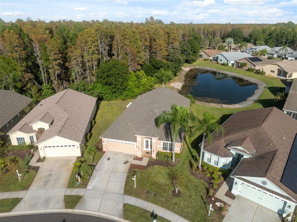 1201 Dustan Place Trinity, FL 34655 - Photo 44 of 78 an aerial view of multiple house