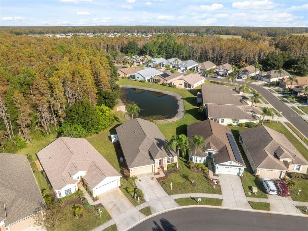 1201 Dustan Place Trinity, FL 34655 - Photo 45 of 78