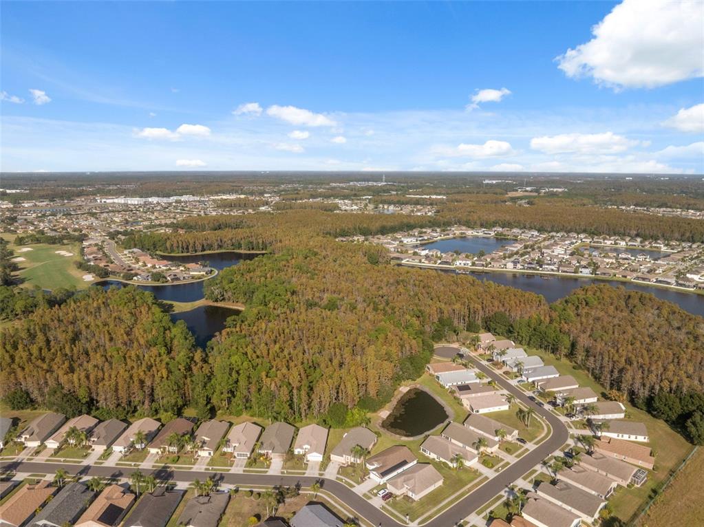1201 Dustan Place Trinity, FL 34655 - Photo 47 of 78 a view of a city
