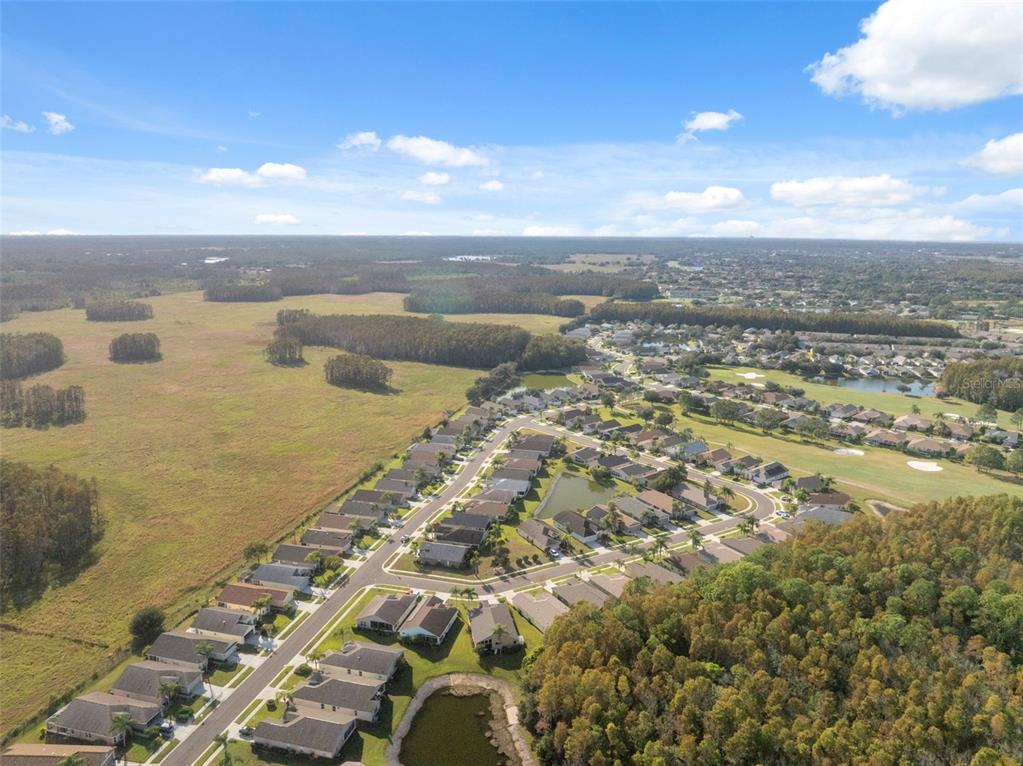 1201 Dustan Place Trinity, FL 34655 - Photo 50 of 78 a view of an ocean and beach