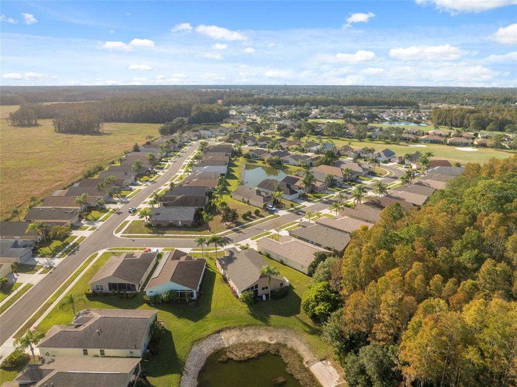 1201 Dustan Place Trinity, FL 34655 - Photo 51 of 78