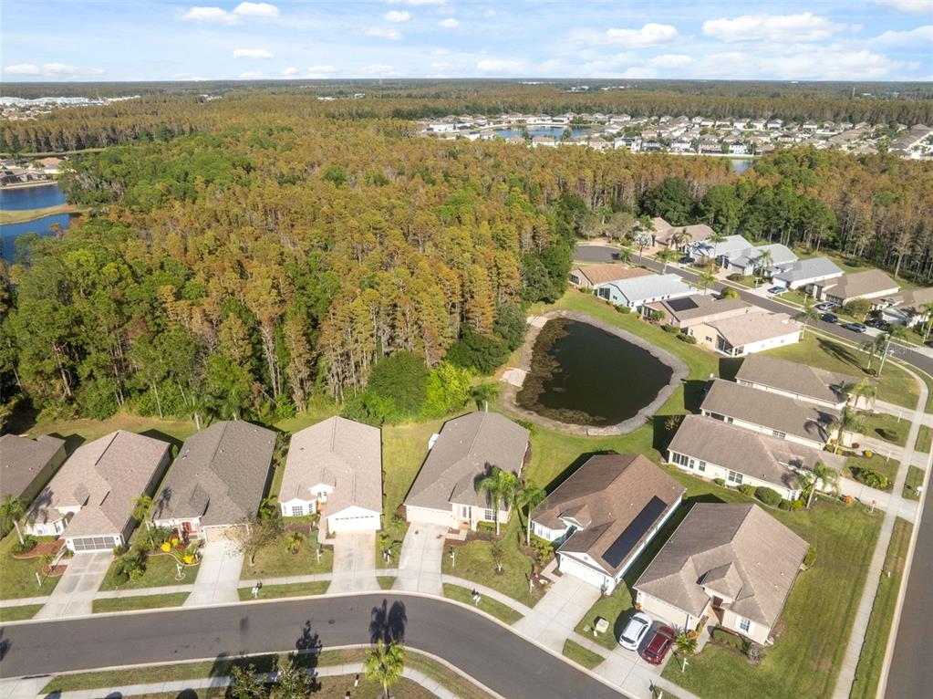 1201 Dustan Place Trinity, FL 34655 - Photo 54 of 78 an aerial view of residential houses with outdoor space