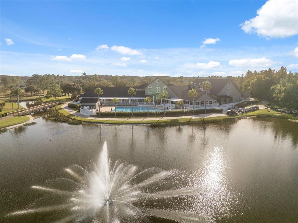 1201 Dustan Place Trinity, FL 34655 - Photo 66 of 78 a view of a lake with a mountain