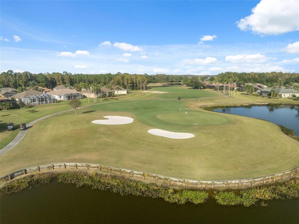 1201 Dustan Place Trinity, FL 34655 - Photo 75 of 78