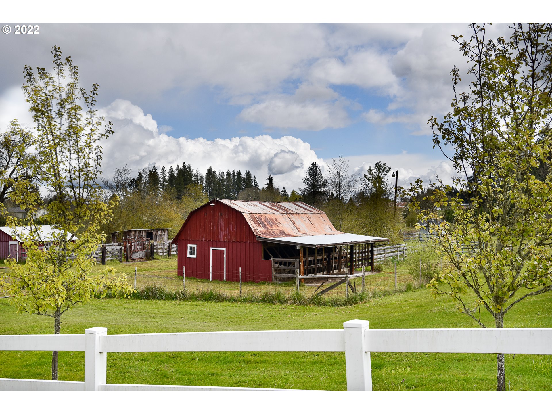 87545 Miller Road Veneta, OR 97487 - Photo 27 of 30 Gallery Image 27