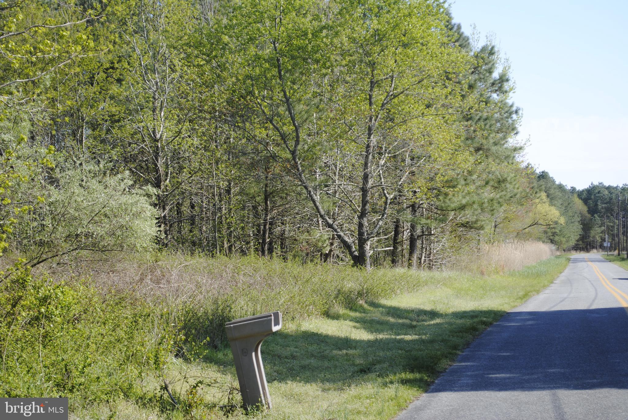 0 Griffith Neck Road Cambridge, MD 21613 - Photo 12 of 15