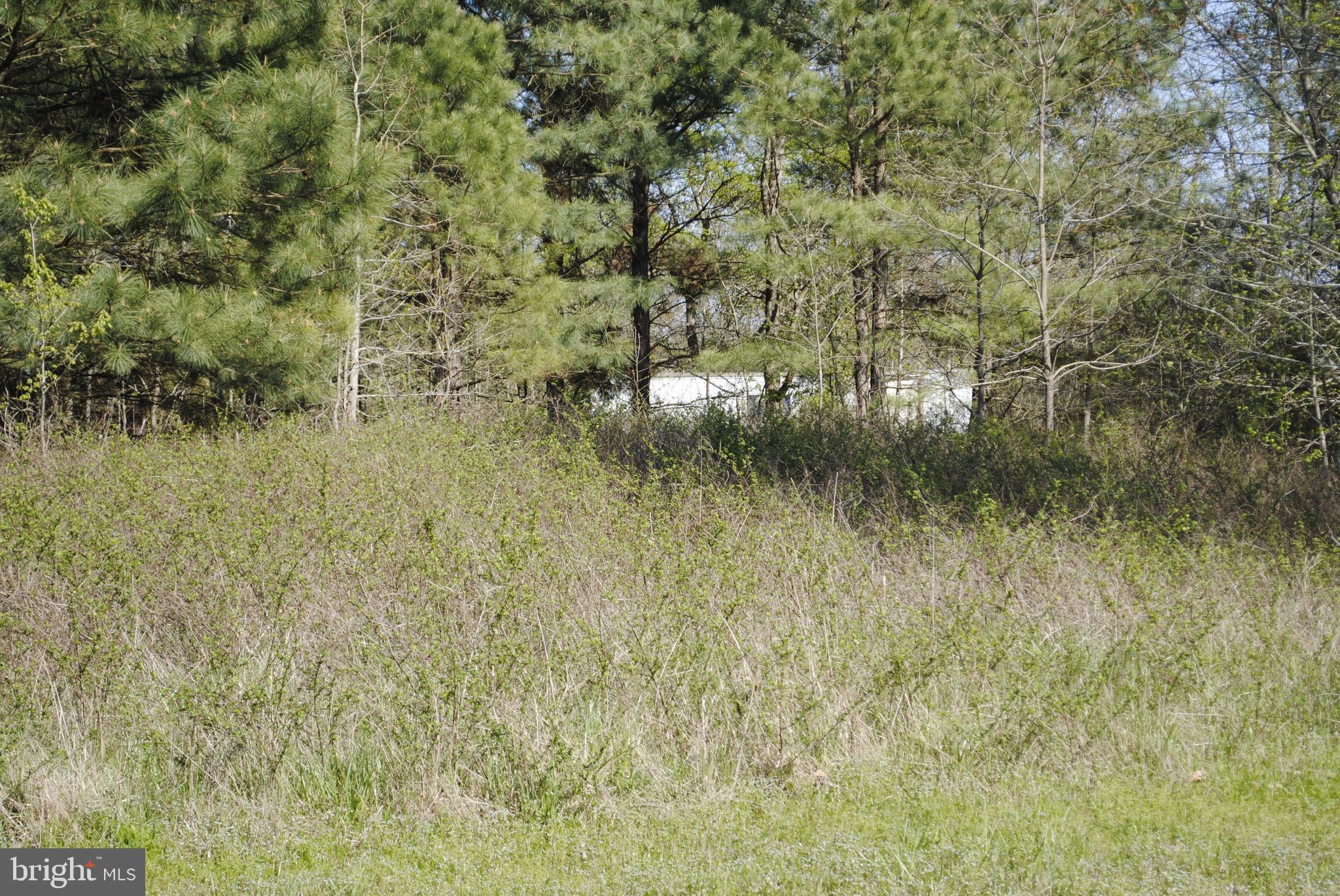 0 Griffith Neck Road Cambridge, MD 21613 - Photo 15 of 15