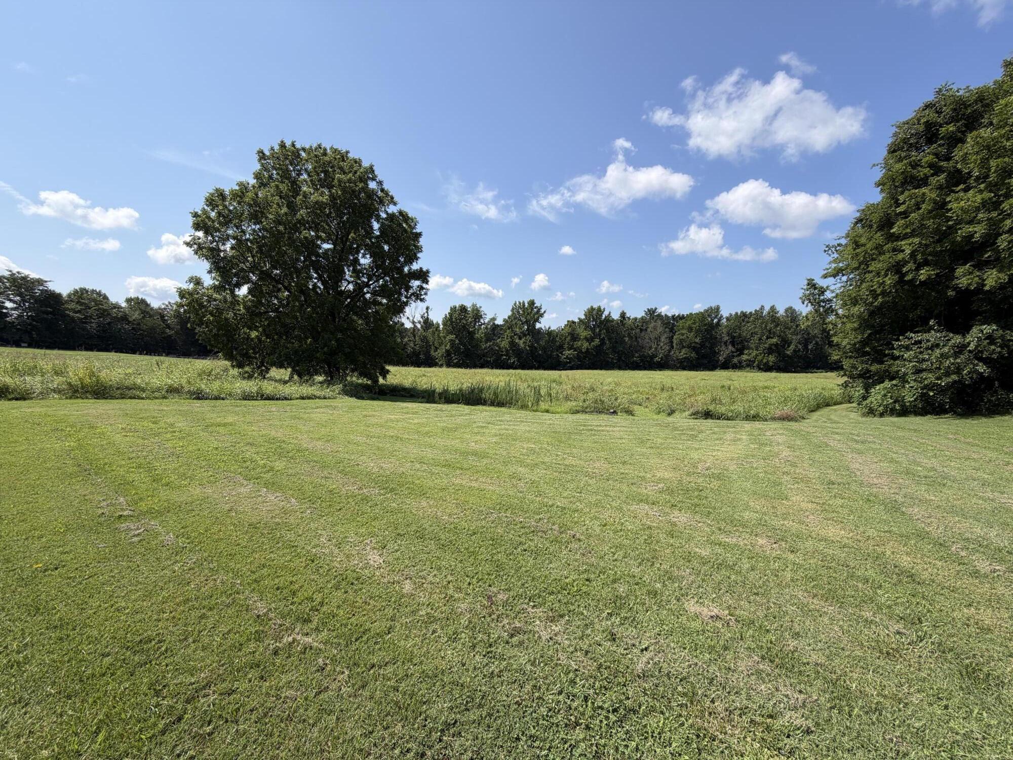 12985 Marion Road Princeton, KY 42445 - Photo 6 of 12 IMG_2932