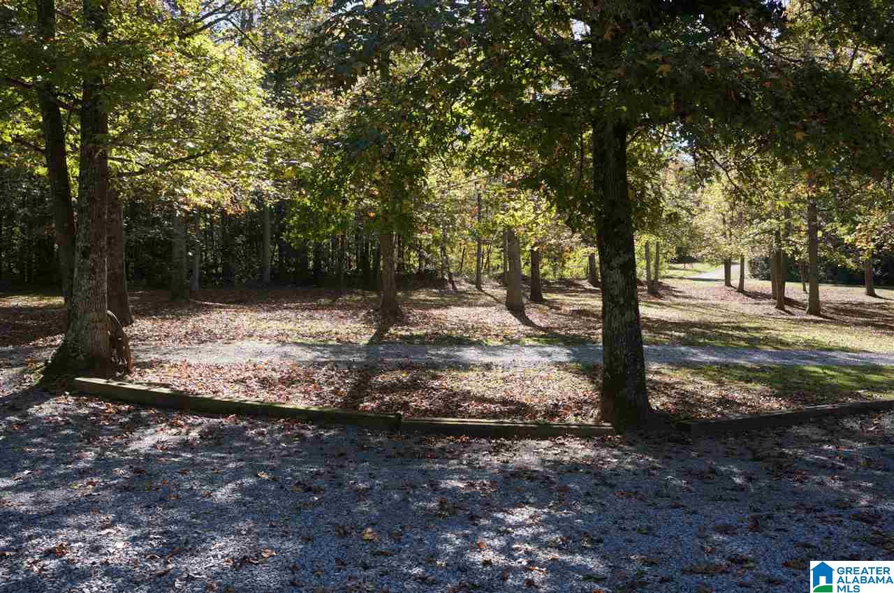 130 Creek Grove Road Cleveland, AL 35049 - Photo 7 of 49