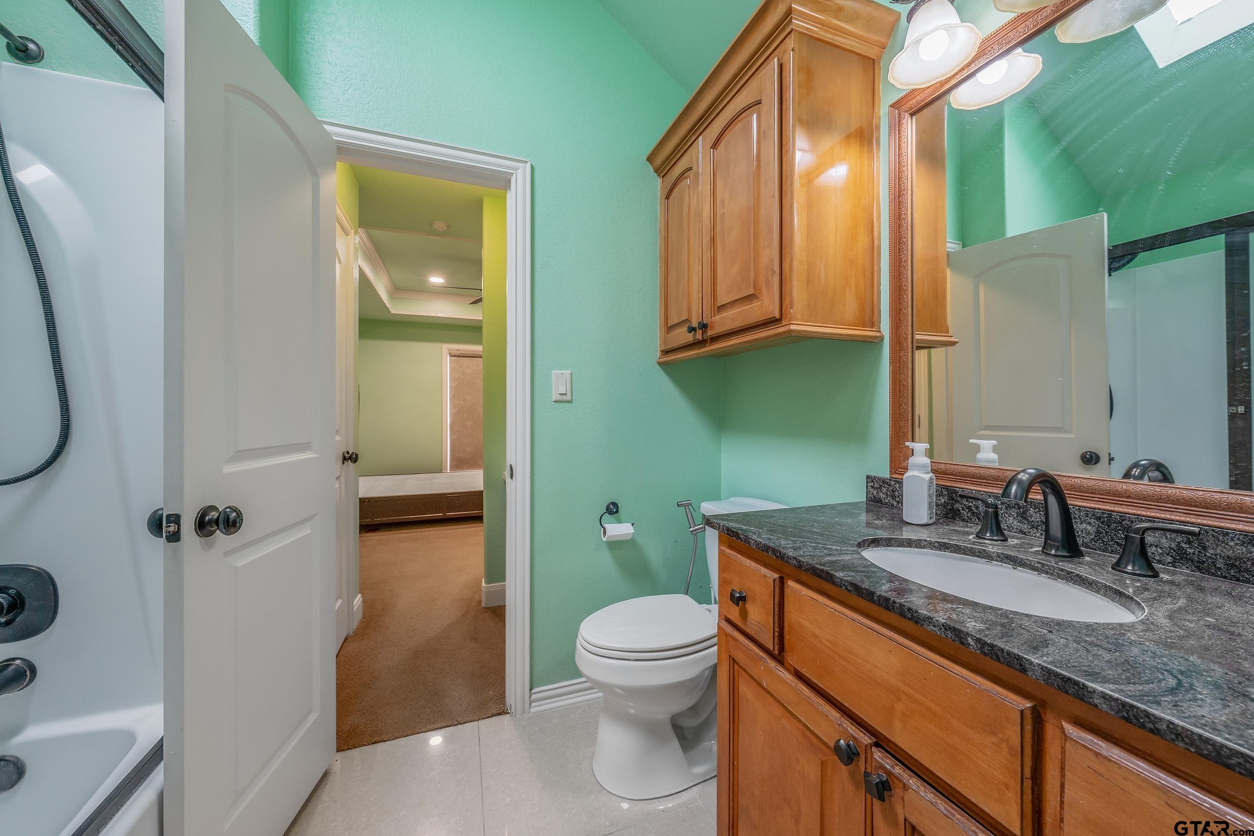 3072 Yasmeen Circle Flint, TX 75762 - Photo 19 of 26 a bathroom with a granite countertop sink a toilet and a mirror