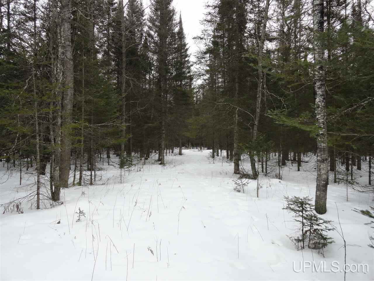416 (23rd Road Gladstone, MI 49837 - Photo 25 of 36