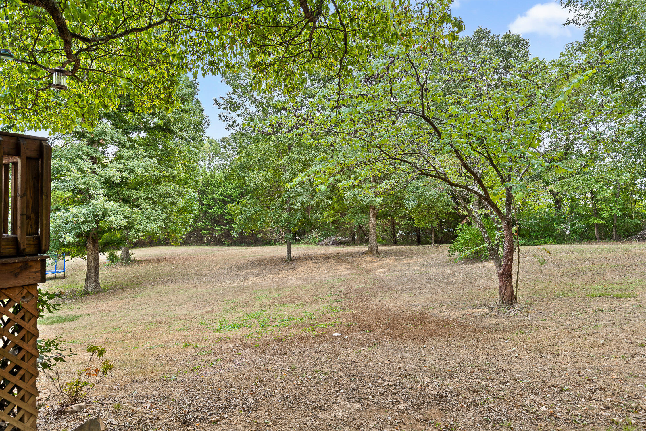 385 Dailey Hill Circle Ringgold, GA 30736 - Photo 5 of 50 Dailey-19