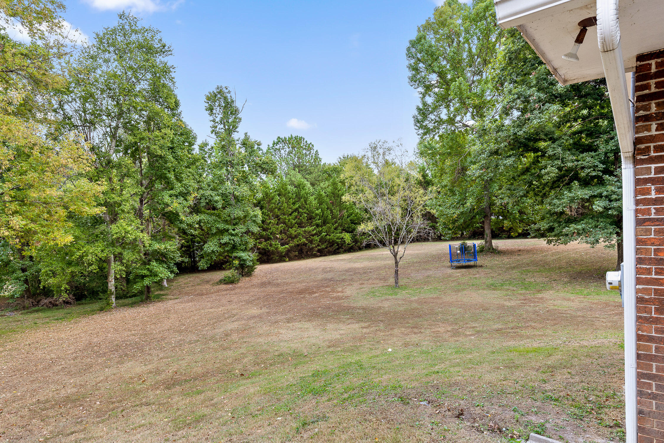 385 Dailey Hill Circle Ringgold, GA 30736 - Photo 6 of 50 Dailey-15