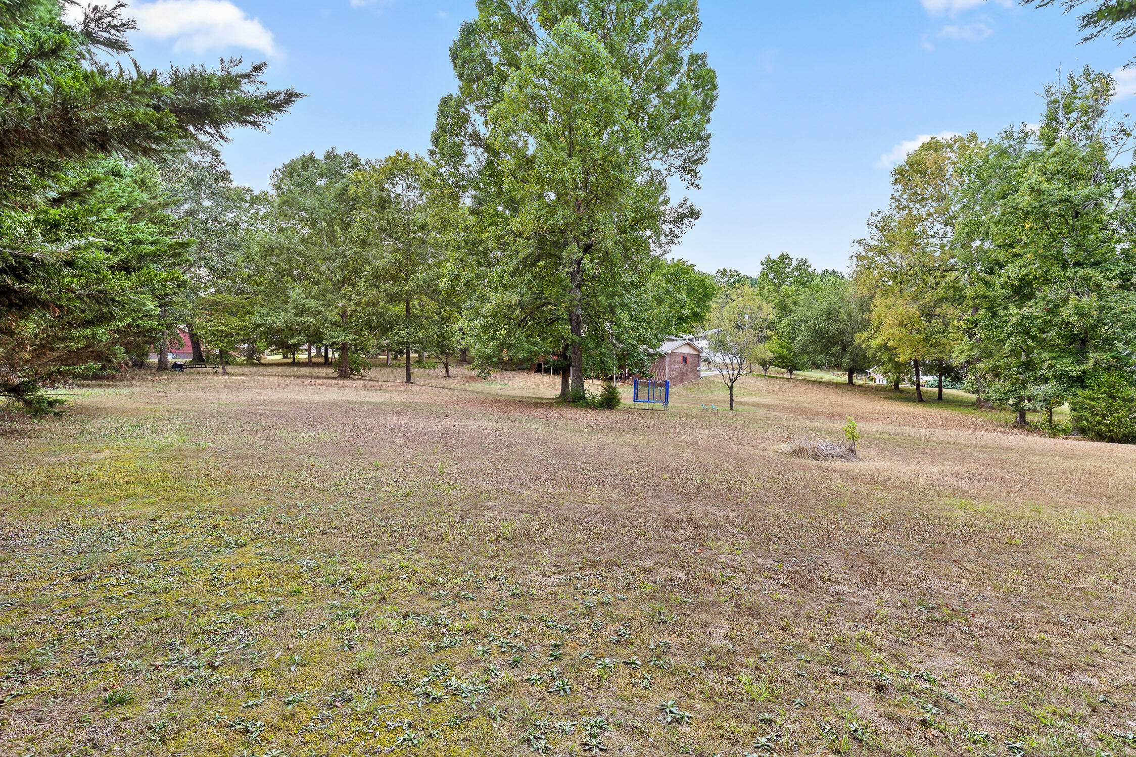385 Dailey Hill Circle Ringgold, GA 30736 - Photo 7 of 50 Dailey-20