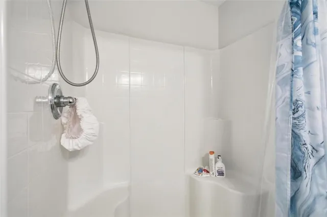 a view of a yard with plants and trees