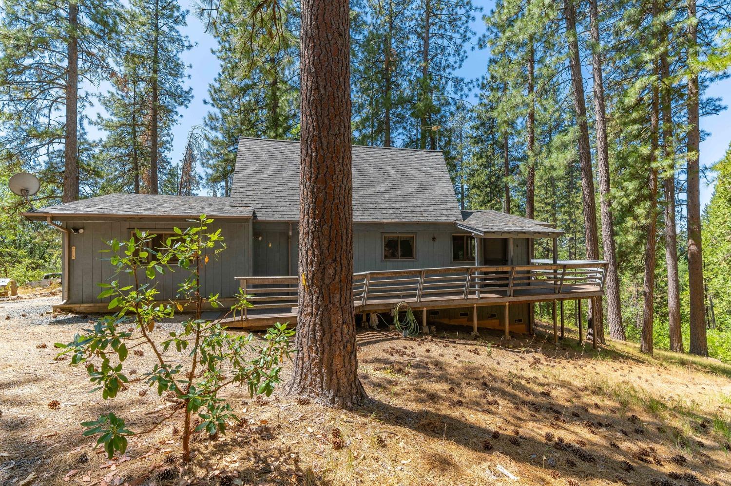 2839 Lily Gap Road West Point, CA 95255 - Photo 10 of 58 Gallery Image 10