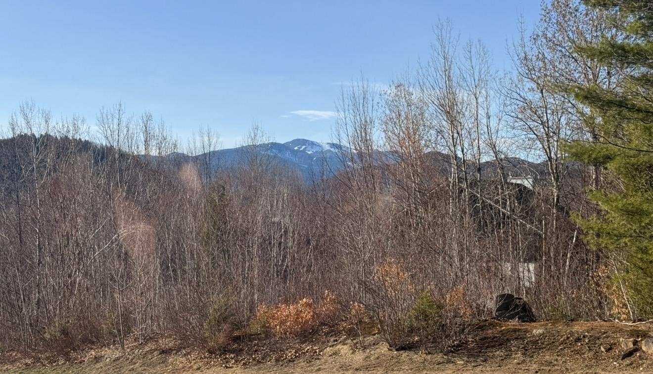 K41 Christmas Mountain Road, Unit K Intervale, NH 03845 - Photo 26 of 26