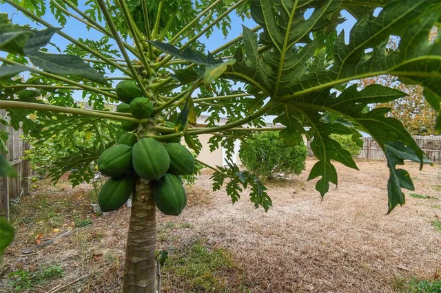 $255,000 | 7810 Birchwood Drive, Port Richey, FL 34668