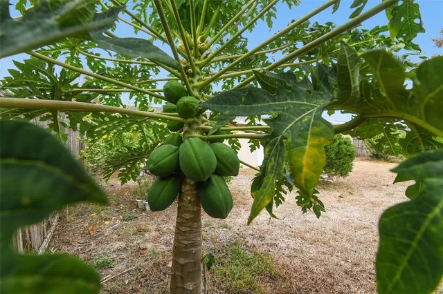 $255,000 | 7810 Birchwood Drive, Port Richey, FL 34668