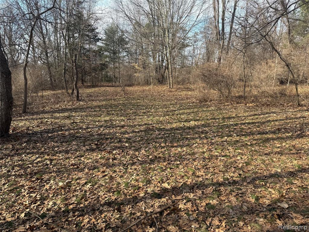 2096 Hunter Road Brighton, MI 48114 - Photo 8 of 9