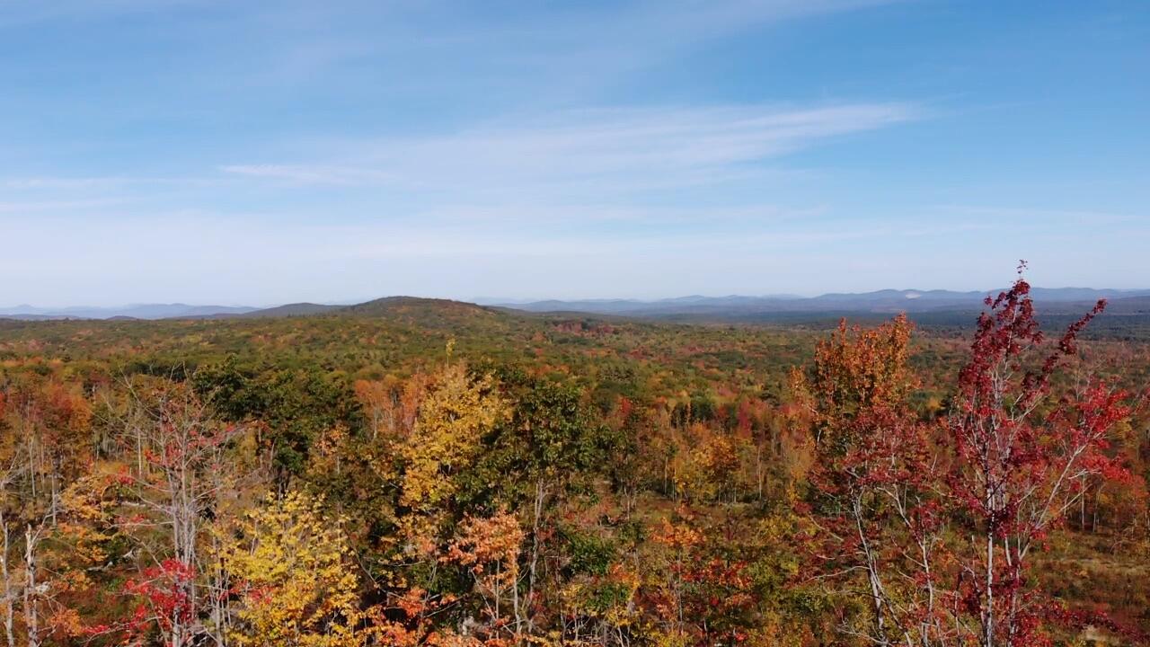 Lot 4 Gulf Road Shapleigh, ME 04076 - Photo 6 of 22 DFC8AD77-E6E9-4241-B3F8-A3BD5D705F98_1_1
