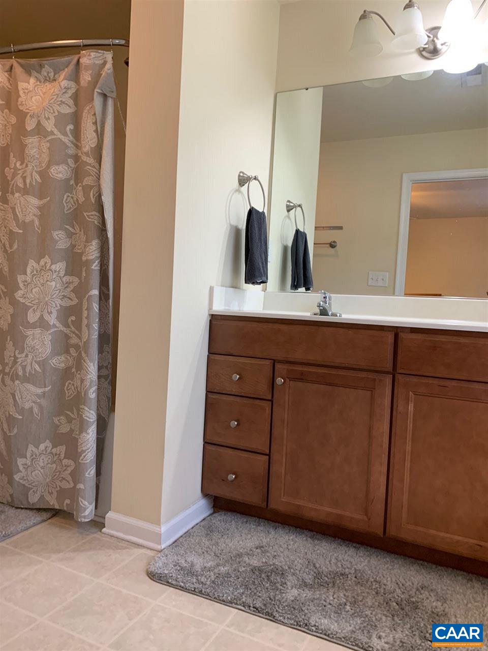 2452 North Berkshire Road Charlottesville, VA 22901 - Photo 16 of 24 a room with a sink and a mirror