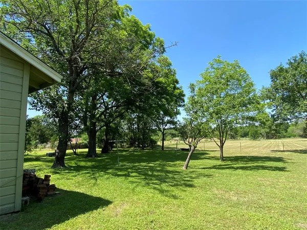 a view of park with trees