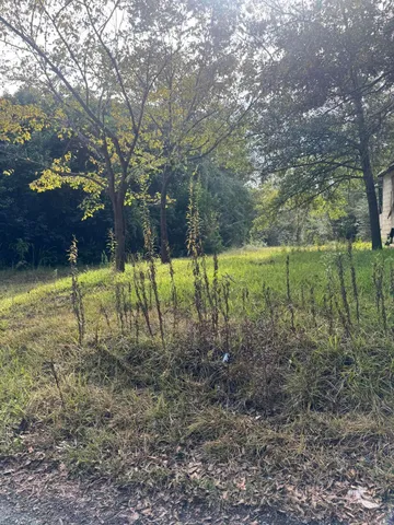 $3,000 | 825 Railroad Avenue, Waynesboro, GA 30830