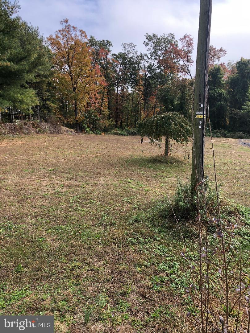 249 Pine Mill Road Clarksboro, NJ 08020 - Photo 9 of 23