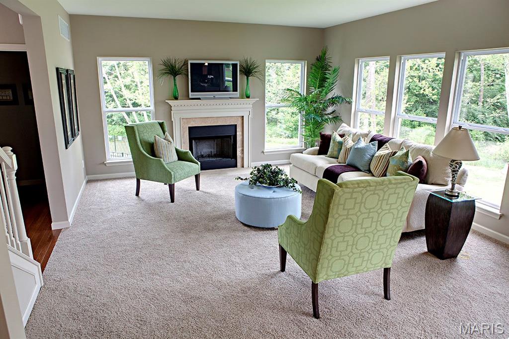 1 Tbb Hartford @ Pinckney Ridge Warrenton, MO 63383 - Photo 4 of 13