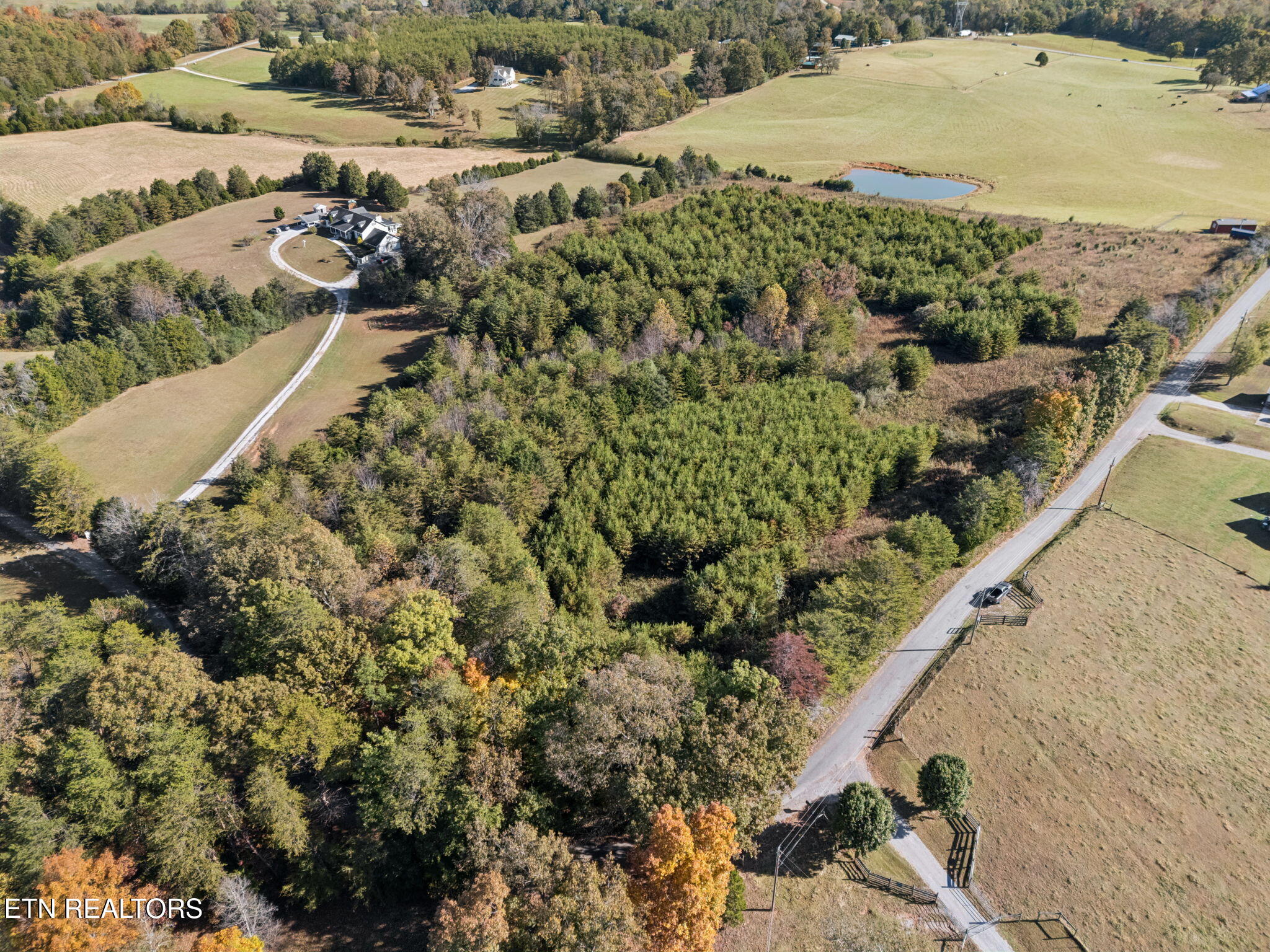 32 Old Sink Church Road Tellico Plains, TN 37385 - Photo 2 of 17 12-Cty Rd 731, TN 37385 - 010