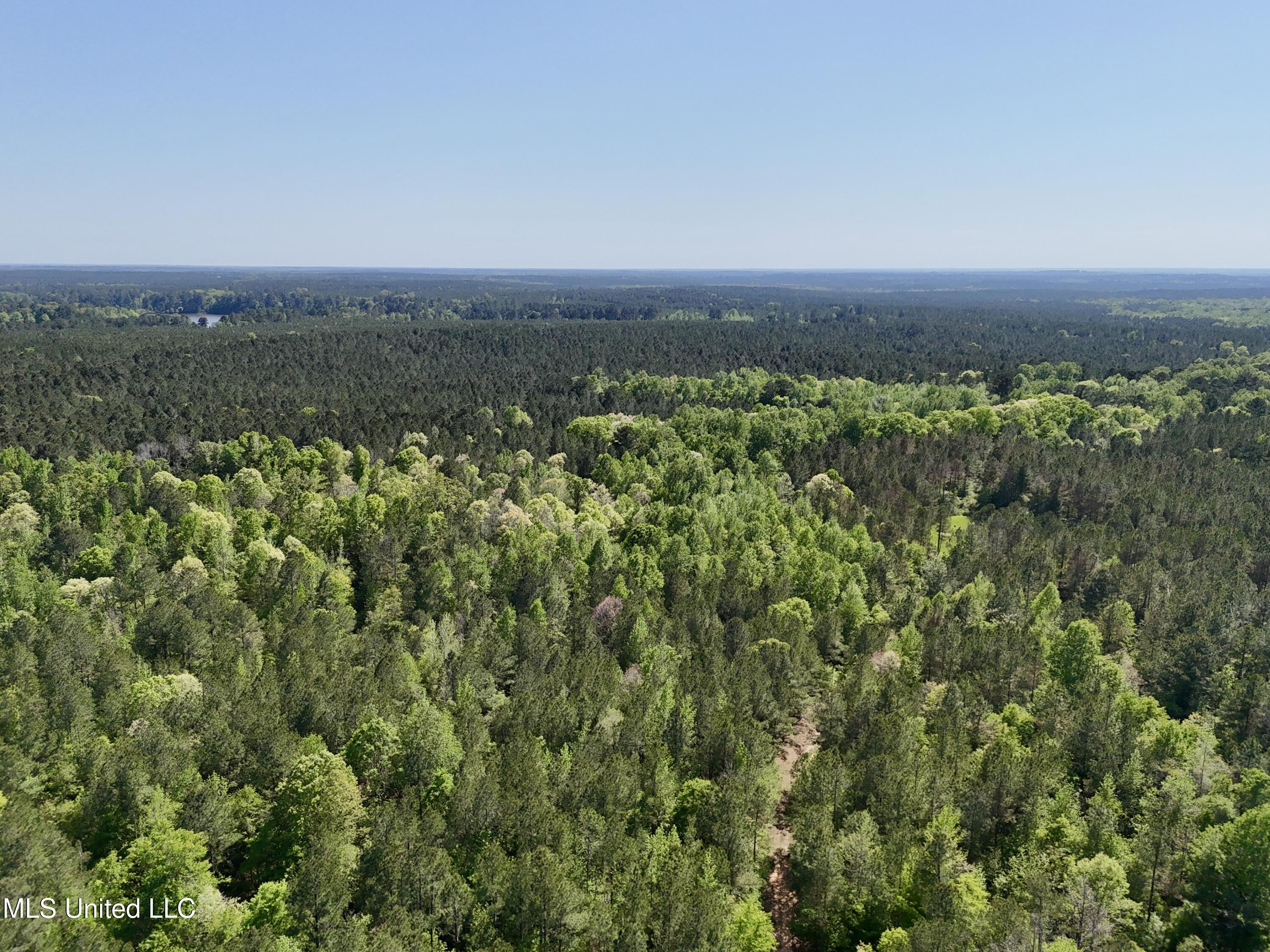 1131 Cauthen Road Camden, MS 39045 - Photo 19 of 53 7B4B9635-223E-49EE-87AD-F56B7BF838B2